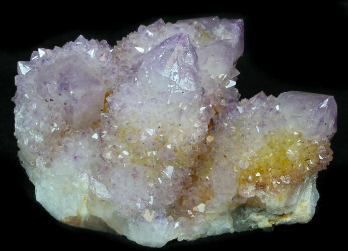 Cactus Quartz (Amethyst) Cluster - South Africa #33622